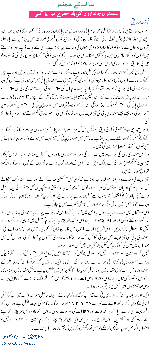 Lives of Sea Animals Are in Danger - Urdu World Article